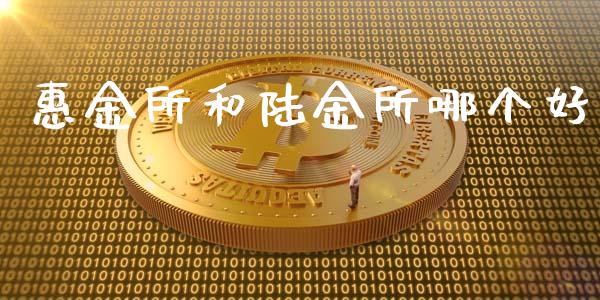 惠金所和陆金所哪个好_https://m.lcjysmgs.com_基金管理_第1张