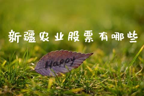 新疆农业股票有哪些_https://m.lcjysmgs.com_股权投资_第1张
