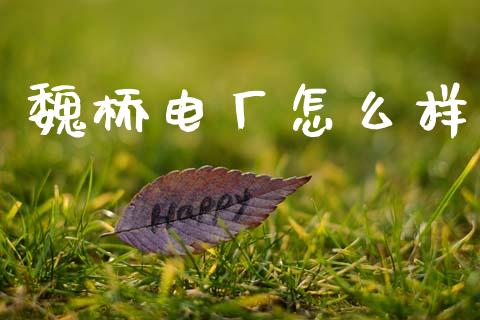 魏桥电厂怎么样_https://m.lcjysmgs.com_股权投资_第1张