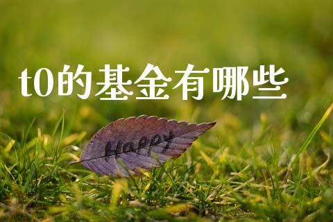 t0的基金有哪些_https://m.lcjysmgs.com_金融服务_第1张