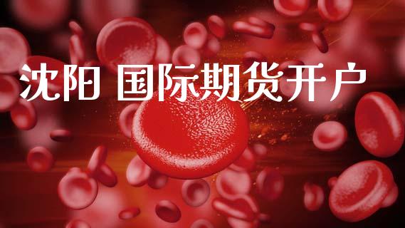 沈阳 国际期货开户_https://m.lcjysmgs.com_股权投资_第1张