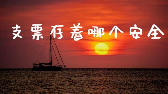 支票存着哪个安全_https://m.lcjysmgs.com_股票交易_第1张