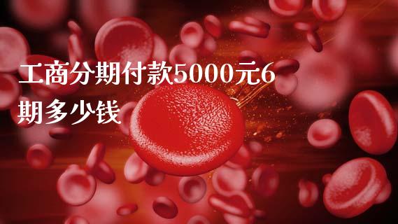 工商分期付款5000元6期多少钱_https://m.lcjysmgs.com_股票交易_第1张