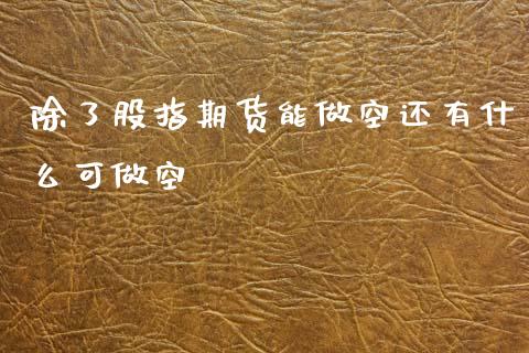 除了股指期货能做空还有什么可做空_https://m.lcjysmgs.com_基金管理_第1张
