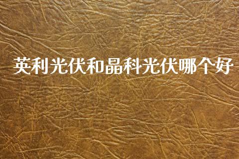 英利光伏和晶科光伏哪个好_https://m.lcjysmgs.com_基金管理_第1张