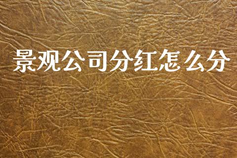 景观公司分红怎么分_https://m.lcjysmgs.com_金融服务_第1张
