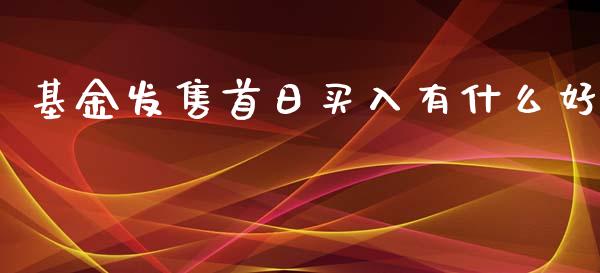 基金发售首日买入有什么好_https://m.lcjysmgs.com_基金管理_第1张
