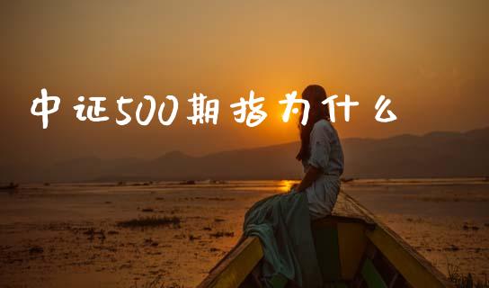 中证500期指为什么_https://m.lcjysmgs.com_股票交易_第1张