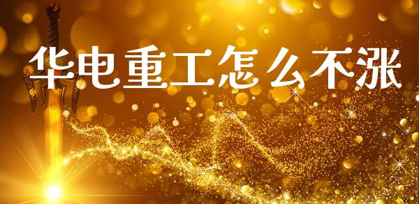 华电重工怎么不涨_https://m.lcjysmgs.com_股权投资_第1张
