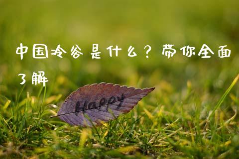 中国冷谷是什么？带你全面了解_https://m.lcjysmgs.com_股权投资_第1张