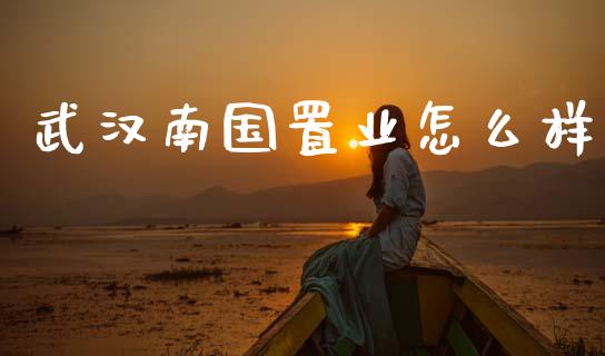 武汉南国置业怎么样_https://m.lcjysmgs.com_股权投资_第1张