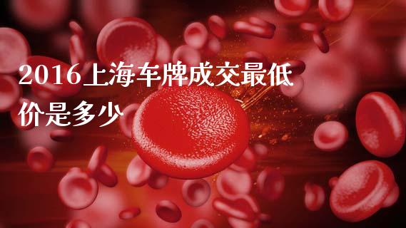 2016上海车牌成交最低价是多少_https://m.lcjysmgs.com_基金管理_第1张