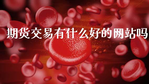 期货交易有什么好的网站吗_https://m.lcjysmgs.com_基金管理_第1张