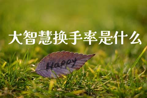 大智慧换手率是什么_https://m.lcjysmgs.com_基金管理_第1张