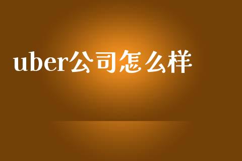 uber公司怎么样_https://m.lcjysmgs.com_股票交易_第1张