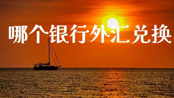 哪个银行外汇兑换_https://m.lcjysmgs.com_金融服务_第1张