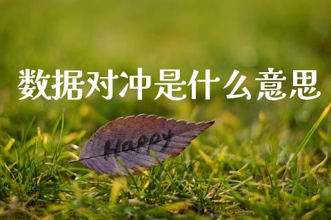 数据对冲是什么意思_https://m.lcjysmgs.com_股票交易_第1张