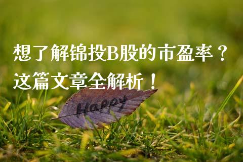 想了解锦投B股的市盈率？这篇文章全解析！_https://m.lcjysmgs.com_金融服务_第1张
