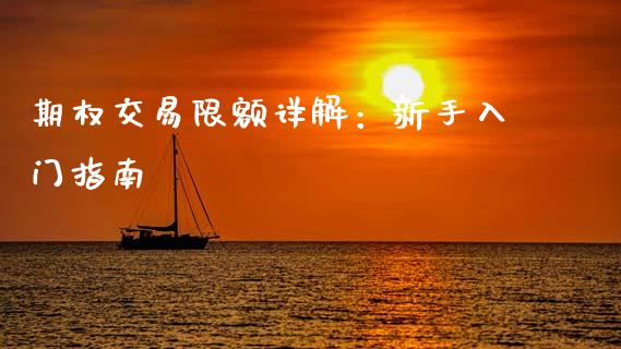 期权交易限额详解：新手入门指南_https://m.lcjysmgs.com_基金管理_第1张