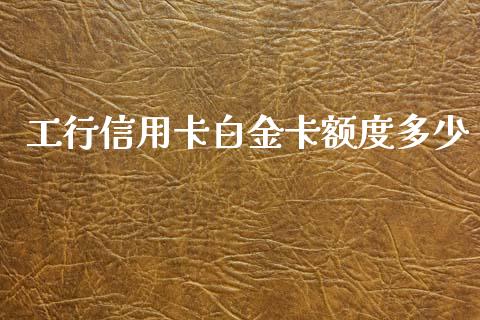 工行信用卡白金卡额度多少_https://m.lcjysmgs.com_金融服务_第1张
