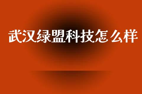 武汉绿盟科技怎么样_https://m.lcjysmgs.com_基金管理_第1张