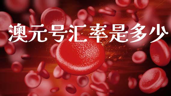 澳元号汇率是多少_https://m.lcjysmgs.com_股票交易_第1张