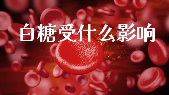 白糖受什么影响_https://m.lcjysmgs.com_金融服务_第1张