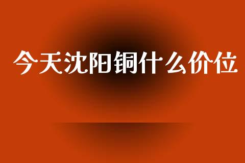 今天沈阳铜什么价位_https://m.lcjysmgs.com_金融服务_第1张