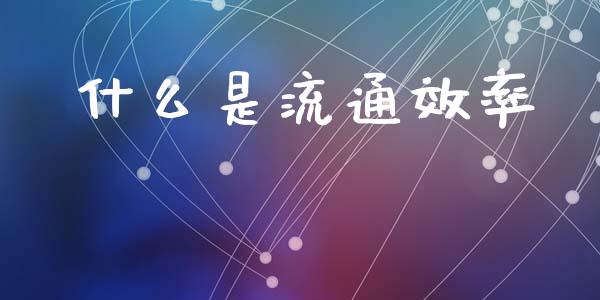 什么是流通效率_https://m.lcjysmgs.com_基金管理_第1张