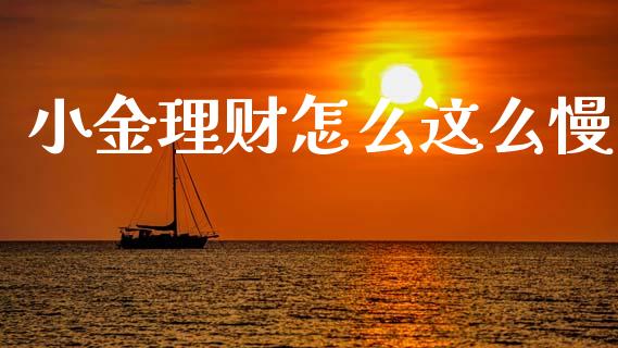 小金理财怎么这么慢_https://m.lcjysmgs.com_股票交易_第1张