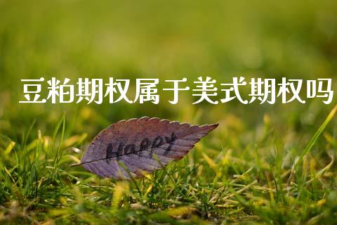 豆粕期权属于美式期权吗_https://m.lcjysmgs.com_股权投资_第1张
