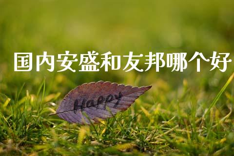 国内安盛和友邦哪个好_https://m.lcjysmgs.com_金融服务_第1张