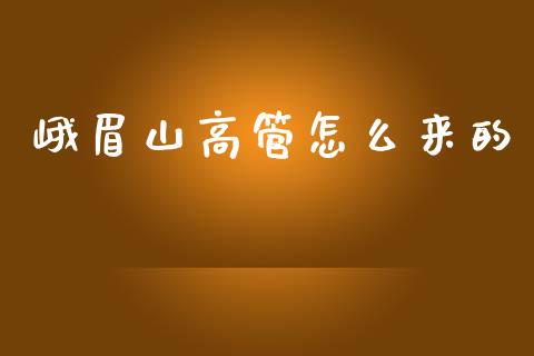 峨眉山高管怎么来的_https://m.lcjysmgs.com_金融服务_第1张