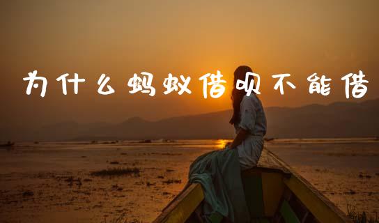 为什么蚂蚁借呗不能借_https://m.lcjysmgs.com_基金管理_第1张