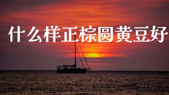 什么样正棕圆黄豆好_https://m.lcjysmgs.com_金融服务_第1张