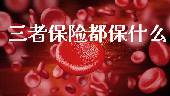 三者保险都保什么_https://m.lcjysmgs.com_股票交易_第1张