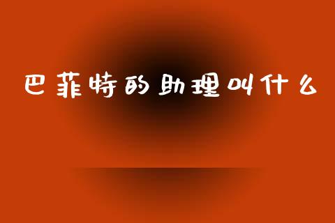 巴菲特的助理叫什么_https://m.lcjysmgs.com_股权投资_第1张