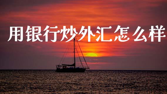 用银行炒外汇怎么样_https://m.lcjysmgs.com_基金管理_第1张