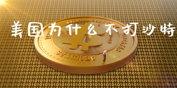 美国为什么不打沙特_https://m.lcjysmgs.com_金融服务_第1张