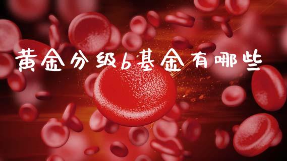 黄金分级b基金有哪些_https://m.lcjysmgs.com_股票交易_第1张