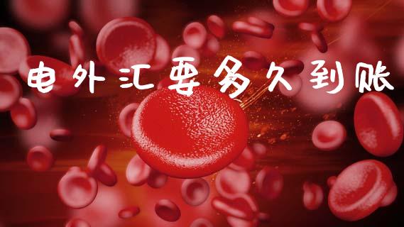 电外汇要多久到账_https://m.lcjysmgs.com_金融服务_第1张