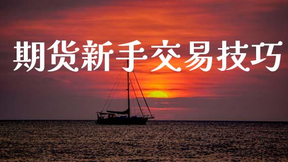 期货新手交易技巧_https://m.lcjysmgs.com_金融服务_第1张