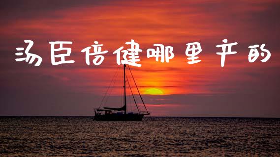 汤臣倍健哪里产的_https://m.lcjysmgs.com_股票交易_第1张
