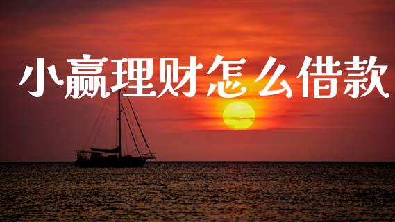 小赢理财怎么借款_https://m.lcjysmgs.com_金融服务_第1张