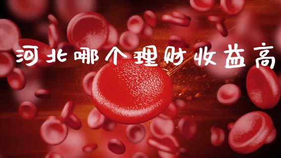 河北哪个理财收益高_https://m.lcjysmgs.com_基金管理_第1张