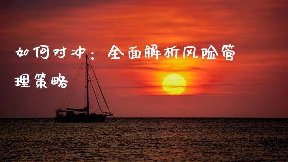 如何对冲：全面解析风险管理策略_https://m.lcjysmgs.com_股权投资_第1张