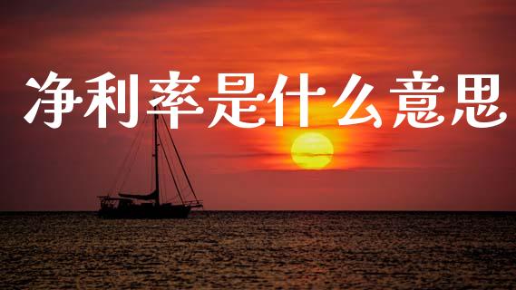 净利率是什么意思_https://m.lcjysmgs.com_金融服务_第1张