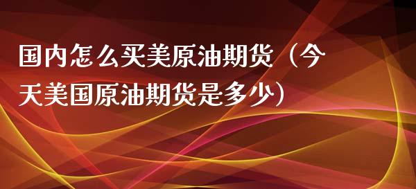 国内怎么买美原油期货（今天美国原油期货是多少）_https://m.lcjysmgs.com_基金管理_第1张