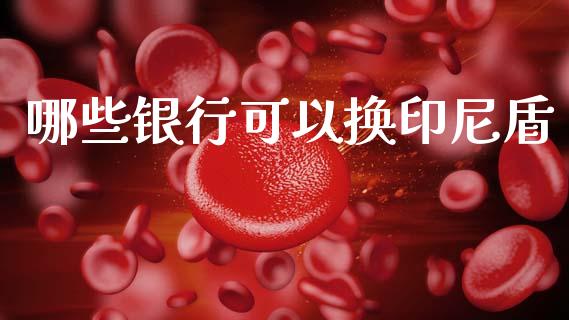 哪些银行可以换印尼盾_https://m.lcjysmgs.com_股权投资_第1张
