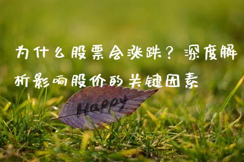 为什么股票会涨跌？深度解析影响股价的关键因素_https://m.lcjysmgs.com_股权投资_第1张